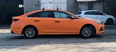 Hyundai: Hyundai Sonata: 2019 г., 2 л, Автомат, Газ, Седан — 7
