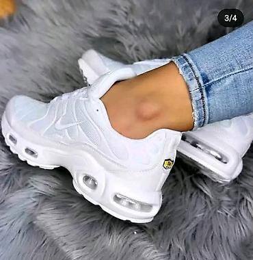 dsquared patike: Nove boje TN patike samo 3900 din veličine 36 do 46
PK🌛 — 6