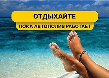 Другие виды семян и саженцев: Газон под ключ🔑 Автоматический полив фирмы Хантер🔥 Лучшие европейские — 10