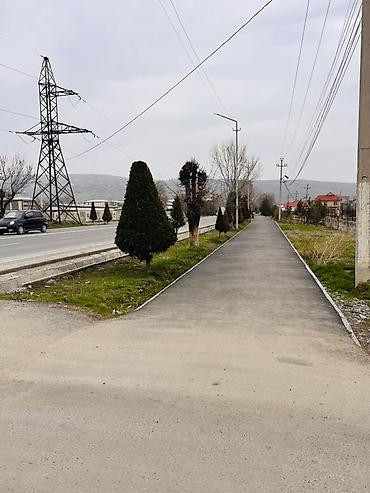 Продажа зданий: Здание, 340 м² — 12