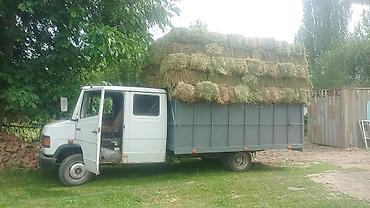 e klass: Грузовик, Mercedes-Benz, Дубль, 5 т, Новый — 1