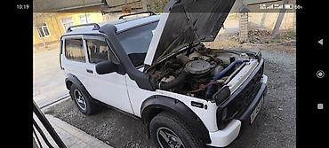 ВАЗ (ЛАДА): ВАЗ (ЛАДА) 4x4 Нива: 1990 г., Внедорожник — 13