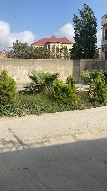 20 sahe: 5 sot Su — 3