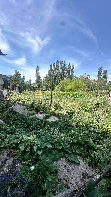 Продажа домов: Дом, 200 м², 5 комнат, Собственник, Старый ремонт at lalafo.kg — 18 Продажа домов: Дом, 200 м², 5 комнат, Собственник, Старый ремонт — 18