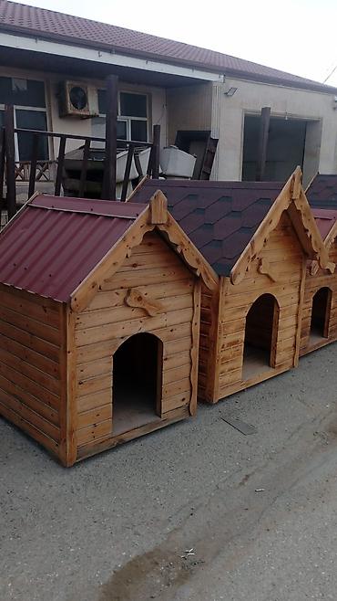 it domikleri: Taxta it evi - Material: təbii ağac lövhələrindən yığma, künclər — 1