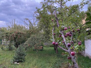 Продажа домов: Дача, 1 м², 1 комната, Собственник, Косметический ремонт — 8