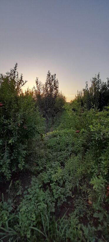 Həyət evləri və villaların satışı: 6 otaqlı, 270 kv. m, Yeni təmirli — 27