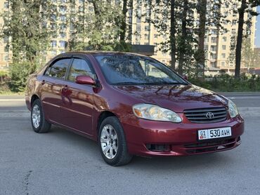 цены на машины бишкек: Toyota Corolla: 2004 г., 1.8 л, Автомат, Бензин, Седан