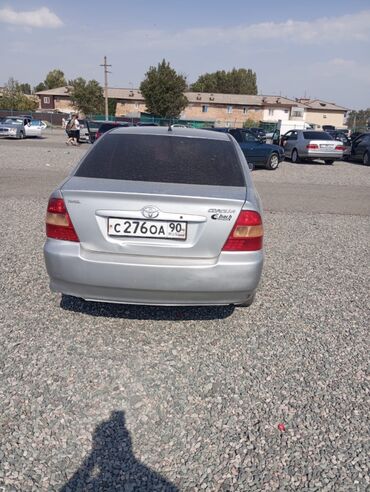 купить машину тойота королла: Toyota Corolla: 2003 г., 1.4 л, Механика, Бензин, Седан