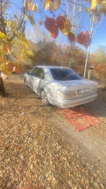 volkswagen caddy: Mercedes-Benz E-Class: 1996 г., 3.2 л, Автомат, Бензин, Седан — 4