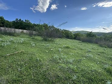 nzs qesebesinde 3 otaqli ev type 1: 23 sot, Tikinti, Kupça (Çıxarış) — 3