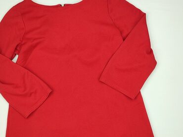 sukienki swing plus size: Adika, Sukienka damska, rozmiar 2XL