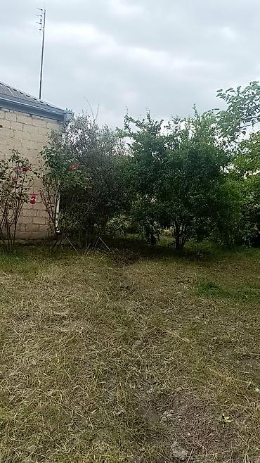 bayilda kiraye evler 2018: 4 комнаты, 29 м², Нет кредита, Средний ремонт — 5