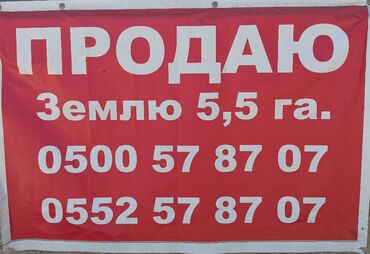 продаю дом раздольный: 550 соток, Для сельского хозяйства