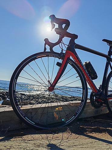 Yol velosipedi.– Belgia brendi Museeuw karbon çərçivə - Çərçivə