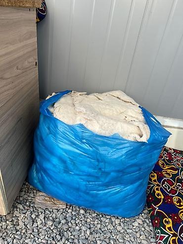 Другие услуги: Эски Матрас Төшөк Көрпө жастык алабыз Скупаю старые ватные матрасы — 1