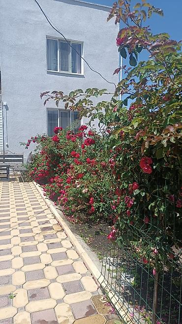Посуточная аренда домов: Посуточный гостевой дом в городе Каракол. В тихом районе. Двухэтажный at lalafo.kg — 24 Посуточная аренда домов: Посуточный гостевой дом в городе Каракол. В тихом районе. Двухэтажный — 24