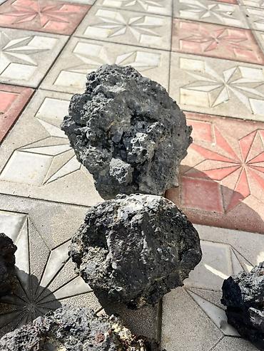 Dekorativ daşlar: Akvarum üçün Dekorativ lava daşları (poroz vulkanik süxur hamısı biri — 5