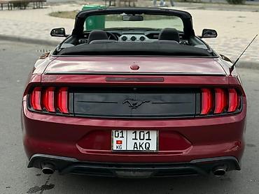 Ford: Ford Mustang: 2018 г., 2.3 л, Автомат, Бензин, Кабриолет — 5