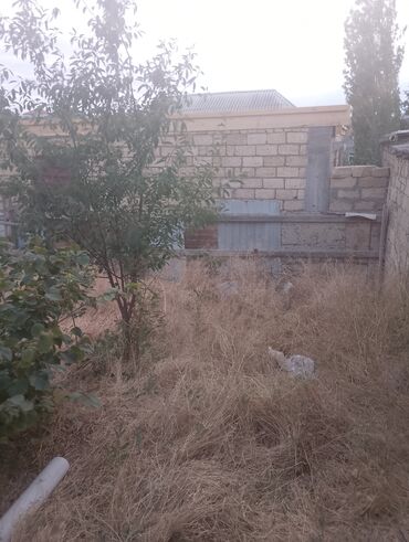 новостройки с ремонтом в баку: Təcili satılır 1 Sot yarım 28 may Qəsəbəsi evin arxasıdi sənətsizdi