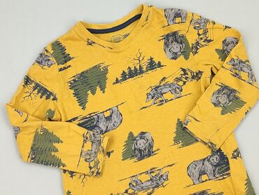 custom koszulek: Blouse, Little kids, 5-6 years, 110-116 cm, condition - Very good