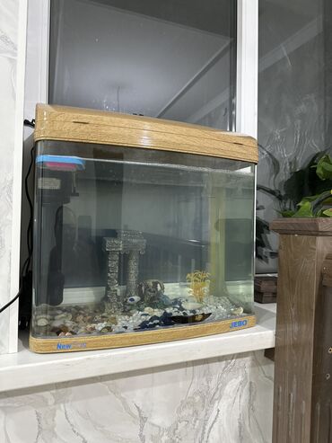 аквариум с рыбами: Заводской аквариум состояние как новый