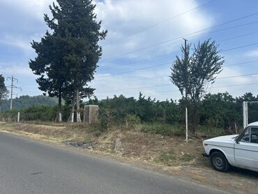 Torpaq sahələrinin satışı: 35 sot, Kənd təsərrüfatı, Mülkiyyətçi, Kupça (Çıxarış) — 5