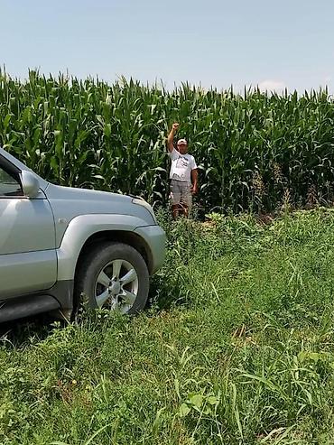 Удобрения и садовая химия: Удобрение Самовывоз — 16