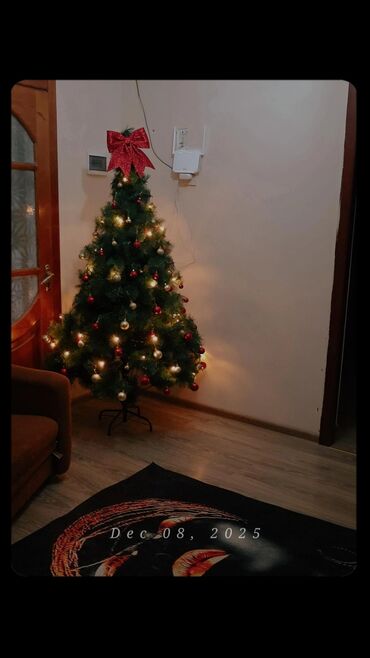 Günlük kirayə evlər: 300 kv. m, 7 otaqlı, Kombi — 14