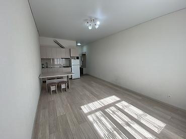 Долгосрочная аренда квартир: 1 комната, С мебелью частично — 4