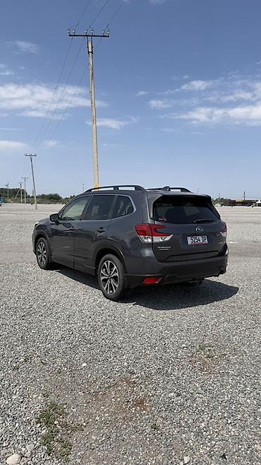 outback 2004: Subaru Forester: 2020 г., Кроссовер — 6