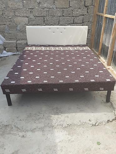 Kravat 
Taza