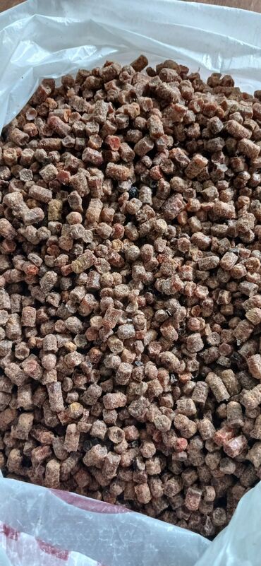 Digər qida məhsulları: ARI ÇÖRƏYİ ( GÜLƏM) Arı məhsulu Tərkibi: 1. Çiçək tozu əsasən; 2. arı — 4