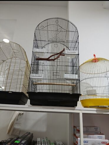 Qəfəslər: Her qiymete her olcude yeni qefeslermiz var satisda bayram edirimleri -da lalafo.az — 9 Qəfəslər: Her qiymete her olcude yeni qefeslermiz var satisda bayram edirimleri — 9