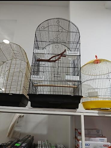 akvarium balıq novləri: Qefesler Bayram edirimleri her zovqe her cesde her novde her regde — 7