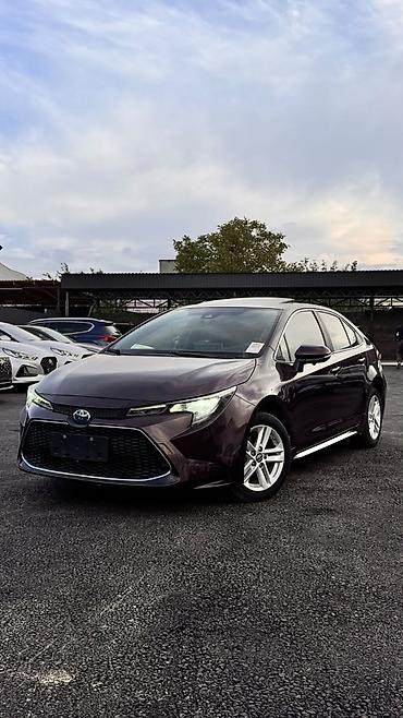 Продажа авто: Toyota Levin: 2020 г., 1.8 л, Гибрид, Седан — 1