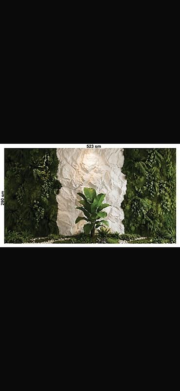 suni bitki: Yaşıl divar (vertical bağ) və dekorativ daş panel kompozisiyası — 1