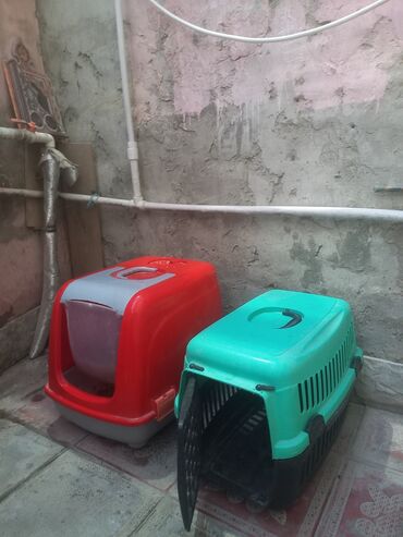 pişik üçün qab: Ev heyvanları üçün aksesuar dəsti - Qapalı pişik tualeti