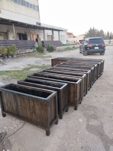 Bitkilər üçün dibçəklər: 🇦🇿Bakı şəhəri üzrə zəmanətli Taxta dipçəklərin topdan və pərakəndə -da lalafo.az — 7 Bitkilər üçün dibçəklər: 🇦🇿Bakı şəhəri üzrə zəmanətli Taxta dipçəklərin topdan və pərakəndə — 7