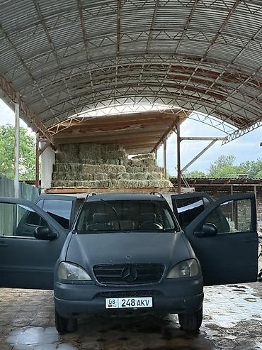 велтмейстер авто: Mercedes-Benz ML-Class: 1999 г., 3.2 л, Автомат, Газ, Внедорожник — 2
