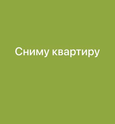 1ком квартира тунгуч: 1 бөлмө, Менчик ээси, Чогуу жашоосу жок