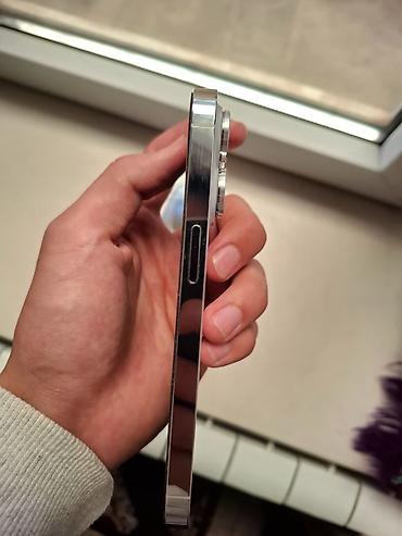 iphone 4: IPhone 14 Pro, Б/у, 256 ГБ, Серебристый, Зарядное устройство, Чехол, Кабель, 99 % — 5