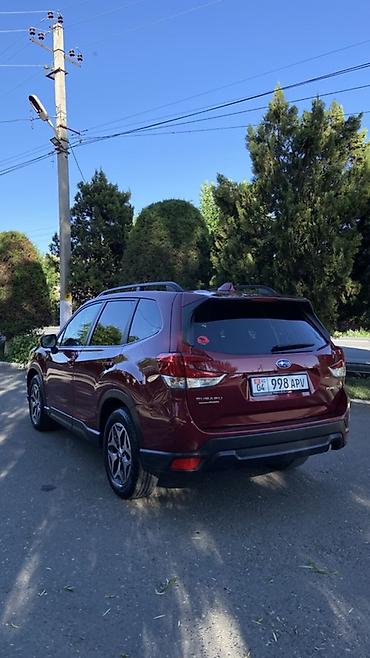 Subaru: Subaru Forester: 2020 г., 2.5 л, Вариатор, Бензин, Кроссовер — 3