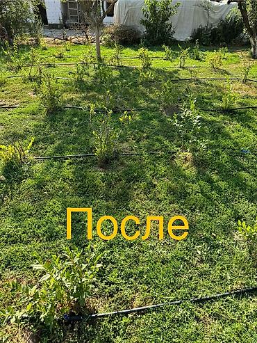 Установка другой техники: 🚨 УСТАЛИ ТАСКАТЬ ВЕДРА? 💧 КАПЕЛЬНЫЙ ПОЛИВ "ПОД КЛЮЧ" — ЗАБУДЬТЕ О — 5