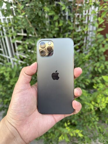 apple ipod nano 7th generation 16gb: IPhone 12 Pro, 128 ГБ, Graphite, 80 %