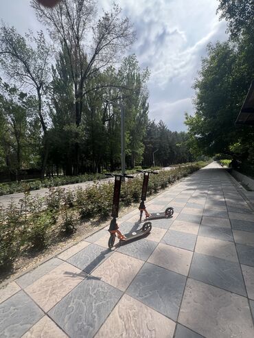 электрики самакат: Электр самокат, Бөлүп төлөөсүз, Колдонулган, Өзү алып кетүү