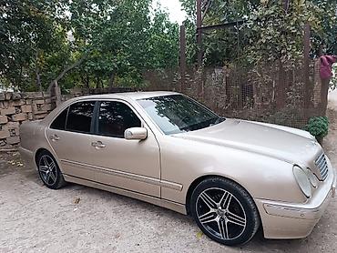 попугайчики купить: Mercedes-Benz E 220: 2.2 л | 2001 г. Седан — 1