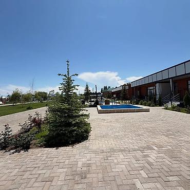 225 квартал: 1 комната, 46 м², Элитка, 1 этаж, ПСО (под самоотделку) — 10