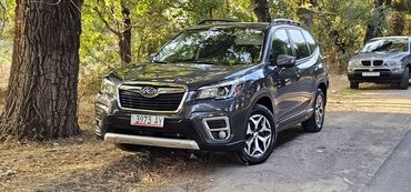 форестар: Subaru Forester: 2020 г., 2.5 л, Вариатор, Бензин, Кроссовер