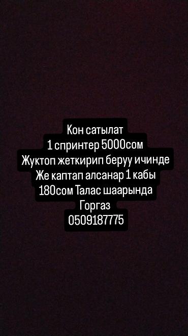 Кизяк (сухой навоз) для отопления и растопки. - Объем: 1 «Спринтер»